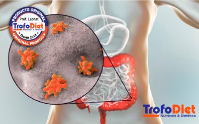 LA MICROBIOTA INTESTINAL