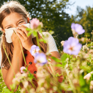 La primavera llega con sus flores y colores, pero para muchas personas también trae consigo una serie de desafíos relacionados con la salud, especialmente aquellos que sufren de alergias al polen. La exposición al polen puede tener efectos adversos no solo en el sistema respiratorio, sino también en la salud de nuestro microbiota intestinal. En este artículo, exploraremos la relación entre la alta exposición al polen y la mala salud en la microbiota, así como algunas estrategias para mitigar estos efectos y promover un equilibrio microbiótico saludable.