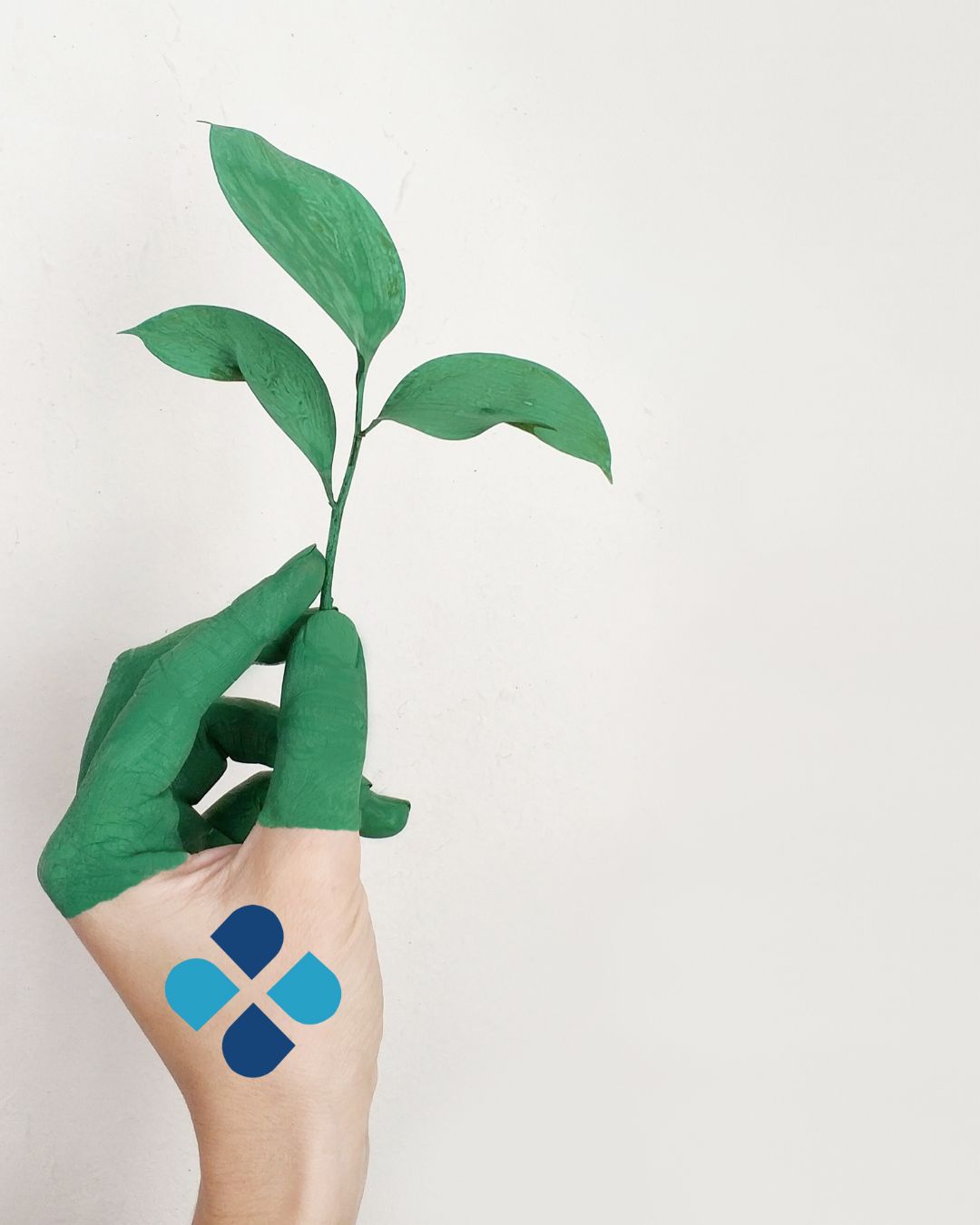 TrofoDiet y su apuesta por la biotecnología sostenible