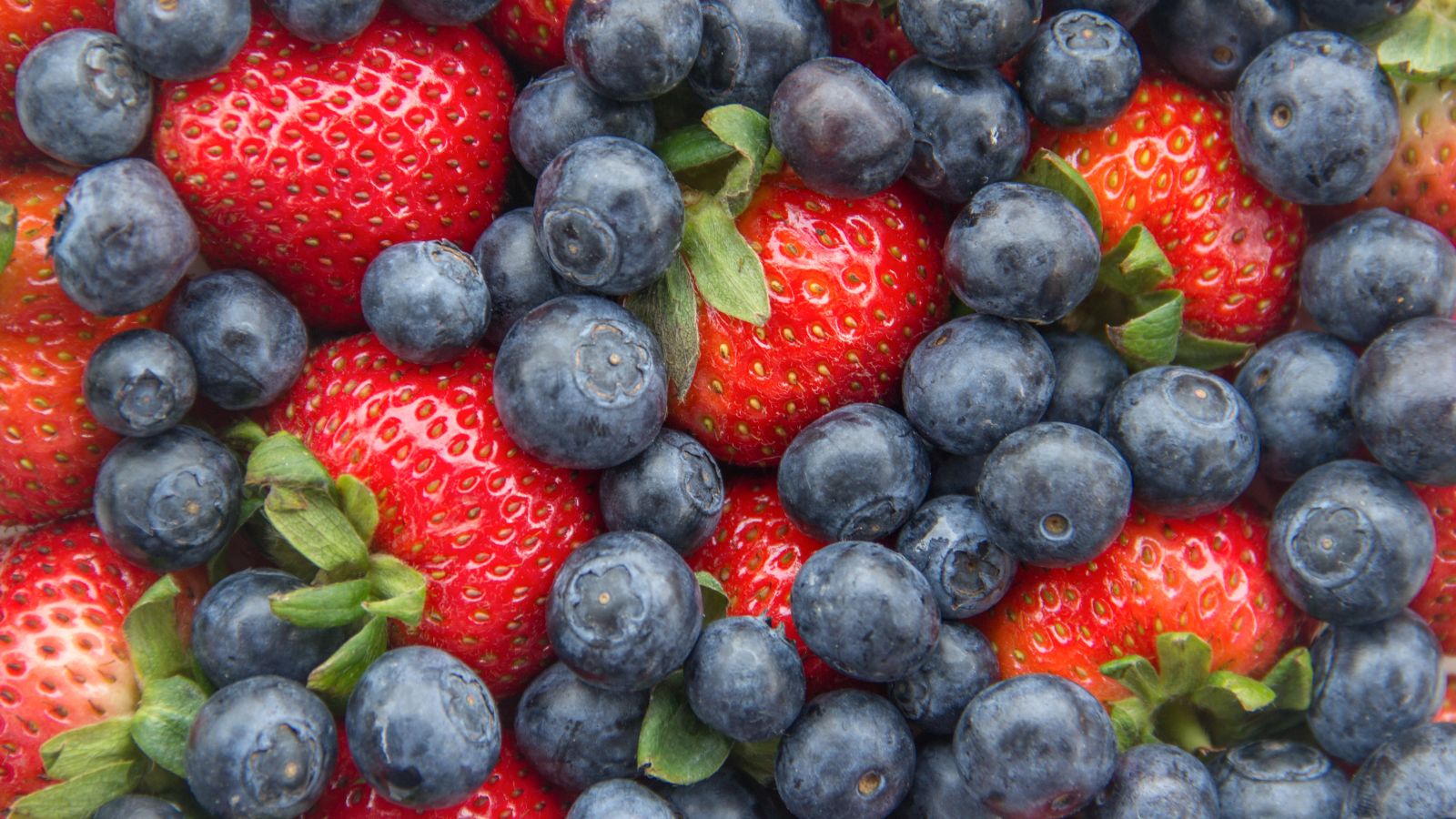 ¿Se puede frenar el envejecimiento? La ciencia dice que sí: con antioxidantes naturales que protegen tus células y tejidos. Descubre cómo actúan y cómo incluirlos en tu vida diaria.