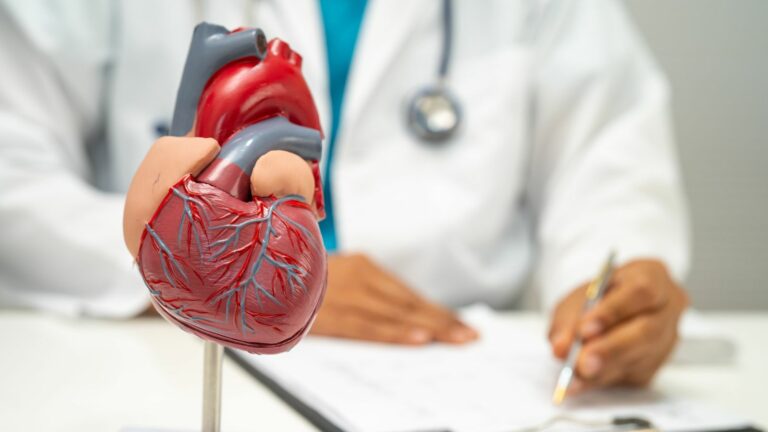 Descubre el poder del Olivo y la sinergia botánica de Trofolive Tens para proteger tu sistema cardiovascular.