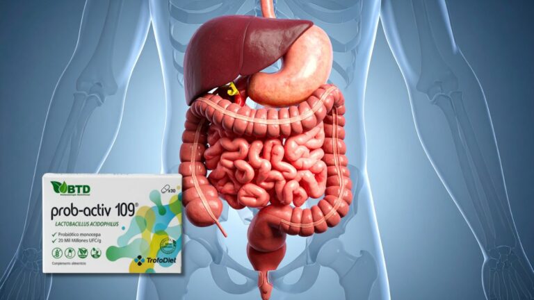 Cómo equilibrar tu microbiota y mejorar tus digestiones
