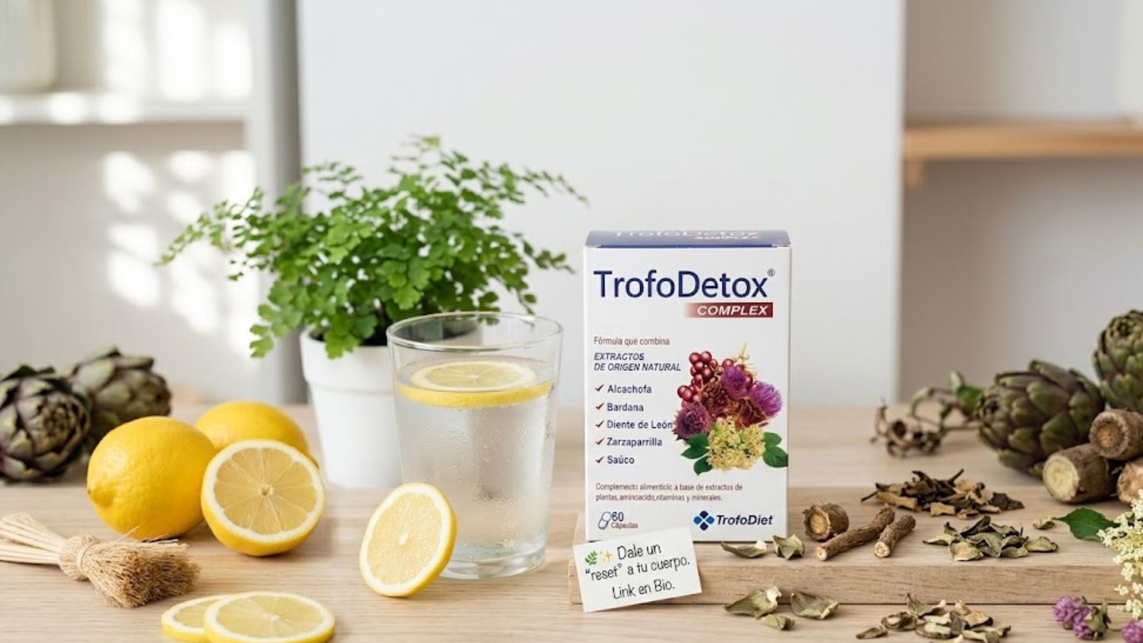 ¿Cuerpo saturado? Prueba TrofoDetox de TrofoDiet en Zaragoza. Con Alcachofa, Diente de León y Granada para un reset total. 60 cápsulas de bienestar natural.